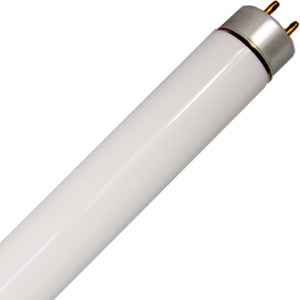 T5 Fluorescent