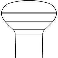 R20