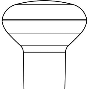 R20