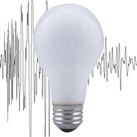 Rough Service Bulbs