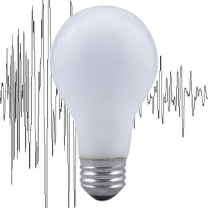 Rough Service Bulbs