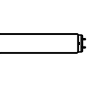 T12