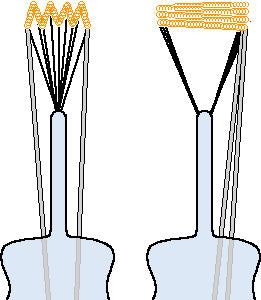 C-11