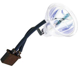 Lesco Replacement Spectrum 100 UV bulb/reflector - Green Spot GS3120