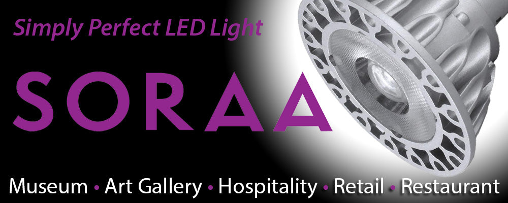 Soraa LED Bulbs banner