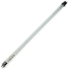 Ushio 3000016 G8T5 - 8W - G5 Base - 12" - 10ct