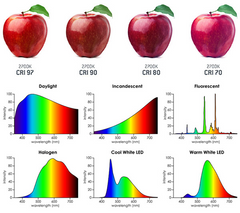 Color Rendering Index (CRI): The Significant Metric for Color Critical