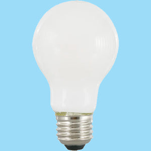 5000K Bulbs