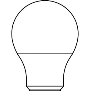 Bulb Shapes