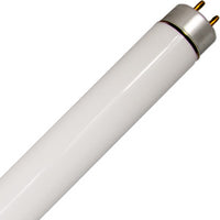 T5 Fluorescent