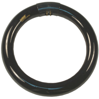Damar FC8T9/BLB - 22W - 4-Pin - 8.5" Circline - Blacklight Blue