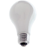 Ushio 1001269 PH213 - 250W - A21 - E26 Medium Base - Incandescent Enlarger Bulb - 10ct